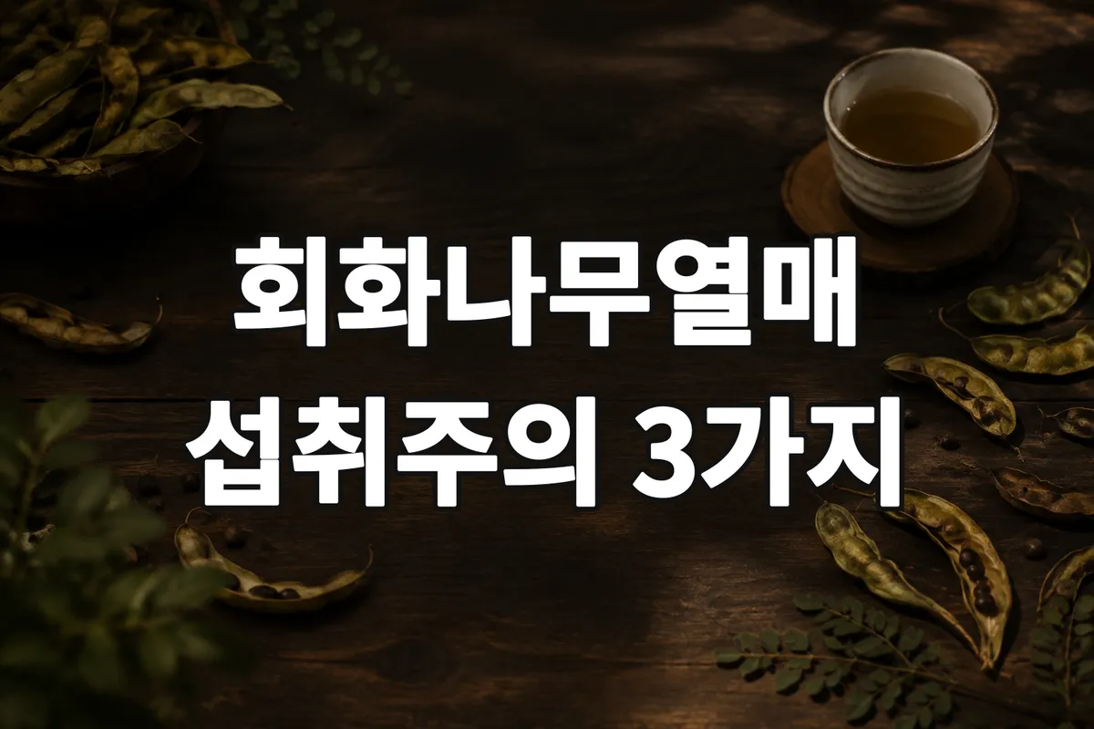 회화나무열매효능과 함께 알아야 할 3가지 섭취 주의사항