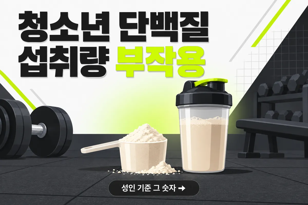 청소년 단백질 보충제 하루 권장 섭취량과 부작용